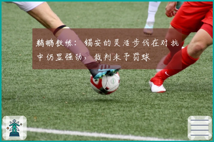 鹈鹕教练：锡安的灵活步伐在对抗中仍显强劲，裁判未予罚球