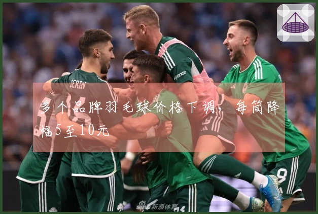 多个品牌羽毛球价格下调，每筒降幅5至10元